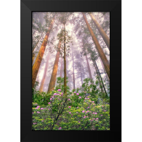 Look Up Black Modern Wood Framed Art Print by Frates, Dennis