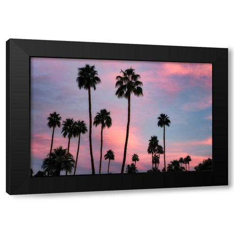 Palm Sunset Black Modern Wood Framed Art Print with Double Matting by Frates, Dennis