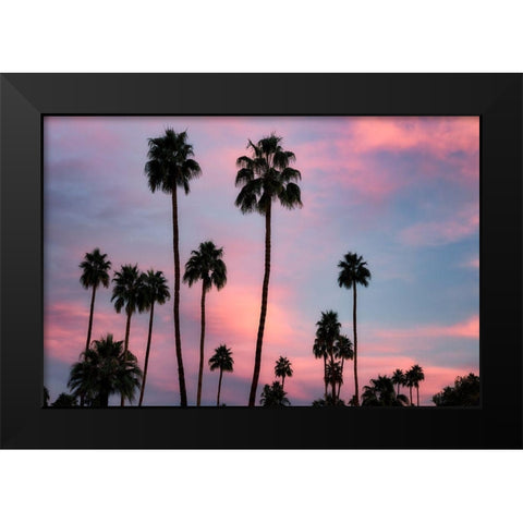 Palm Sunset Black Modern Wood Framed Art Print by Frates, Dennis