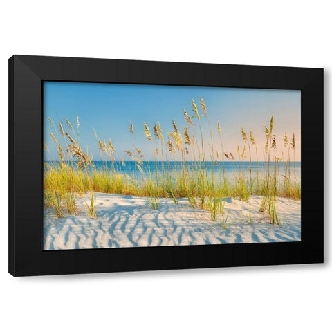 Sand and Sea Black Modern Wood Framed Art Print with Double Matting by Frates, Dennis