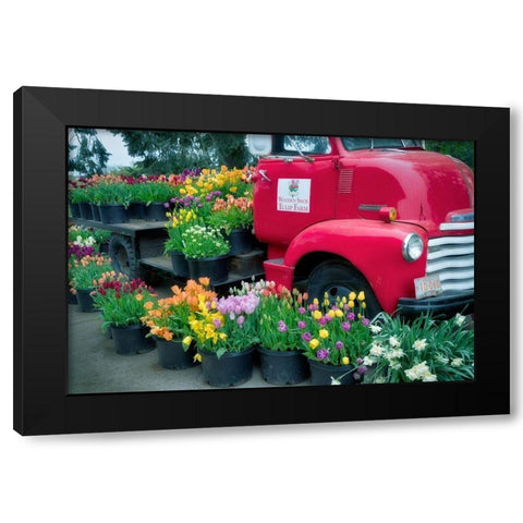 Floral Truck Black Modern Wood Framed Art Print by Frates, Dennis