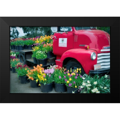 Floral Truck Black Modern Wood Framed Art Print by Frates, Dennis