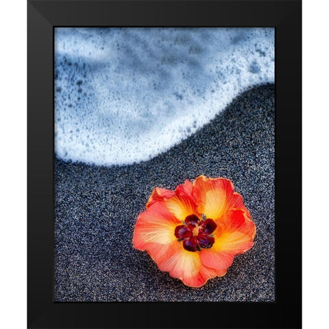 Beach Floral Black Modern Wood Framed Art Print by Frates, Dennis
