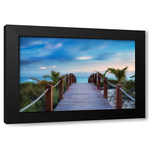 Paradise Path Black Modern Wood Framed Art Print by Frates, Dennis