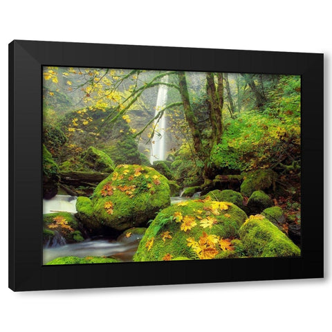 Green Heaven Black Modern Wood Framed Art Print by Frates, Dennis