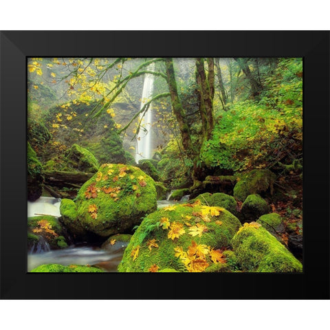 Green Heaven Black Modern Wood Framed Art Print by Frates, Dennis