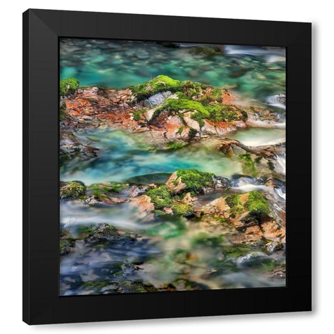 Mossy Rocks Black Modern Wood Framed Art Print with Double Matting by Frates, Dennis
