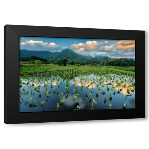 Emerald Landscape Black Modern Wood Framed Art Print by Frates, Dennis