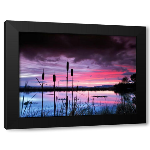 Purple Skies Black Modern Wood Framed Art Print by Frates, Dennis