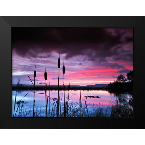 Purple Skies Black Modern Wood Framed Art Print by Frates, Dennis