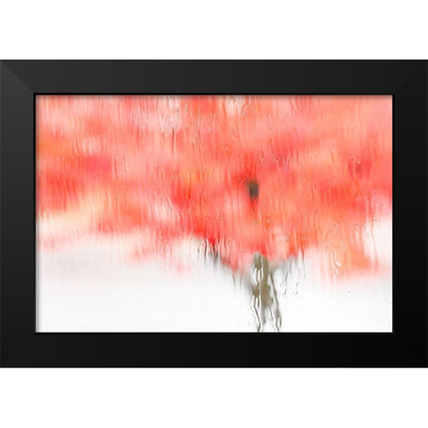 Coral Window Black Modern Wood Framed Art Print by Frates, Dennis