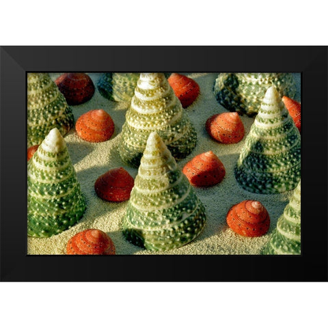 Tree Shells Black Modern Wood Framed Art Print by Frates, Dennis