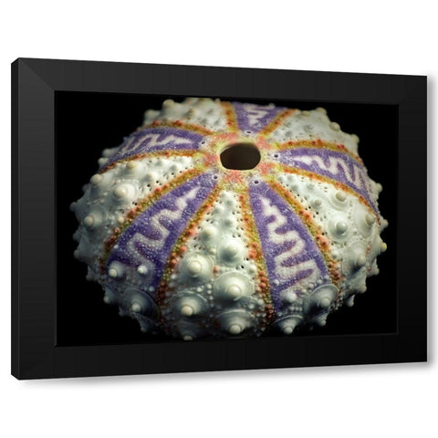 Zig Zag Black Modern Wood Framed Art Print by Frates, Dennis