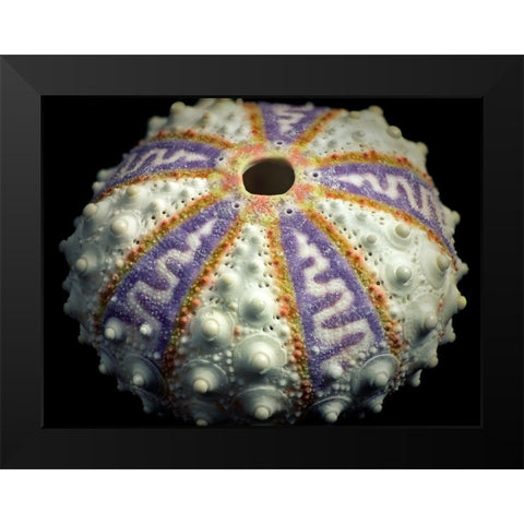 Zig Zag Black Modern Wood Framed Art Print by Frates, Dennis