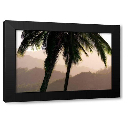 Misty Palms Black Modern Wood Framed Art Print by Frates, Dennis