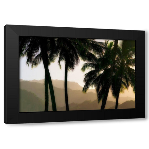 Misty Palms II Black Modern Wood Framed Art Print by Frates, Dennis