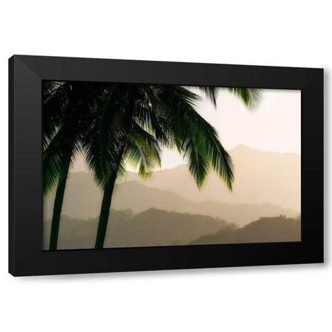 Misty Palms III Black Modern Wood Framed Art Print by Frates, Dennis