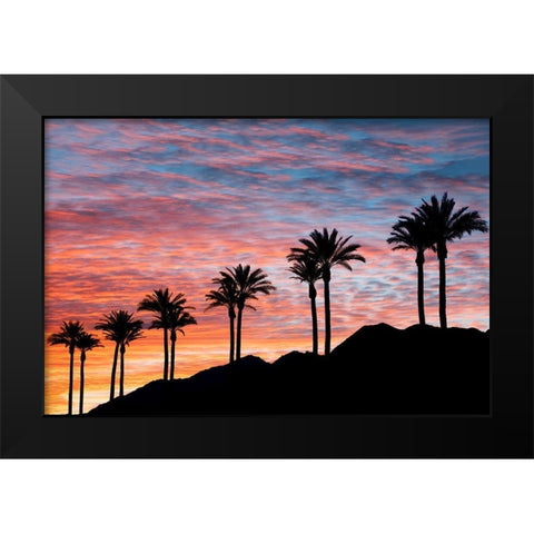 Palm Tree Sunset Black Modern Wood Framed Art Print by Frates, Dennis