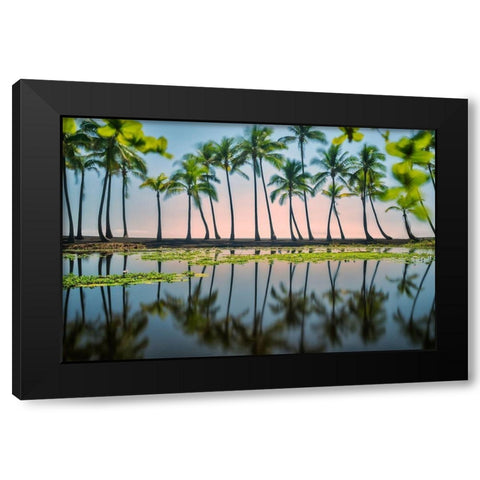 Palm Tree Reflections Black Modern Wood Framed Art Print with Double Matting by Frates, Dennis