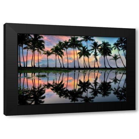 Palm Reflections Black Modern Wood Framed Art Print with Double Matting by Frates, Dennis
