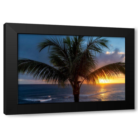 Palm Tree Sunset Black Modern Wood Framed Art Print with Double Matting by Frates, Dennis