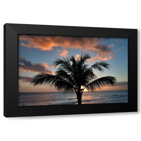 Palm Tree Sunset II Black Modern Wood Framed Art Print by Frates, Dennis