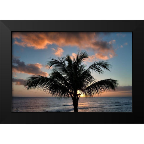 Palm Tree Sunset II Black Modern Wood Framed Art Print by Frates, Dennis