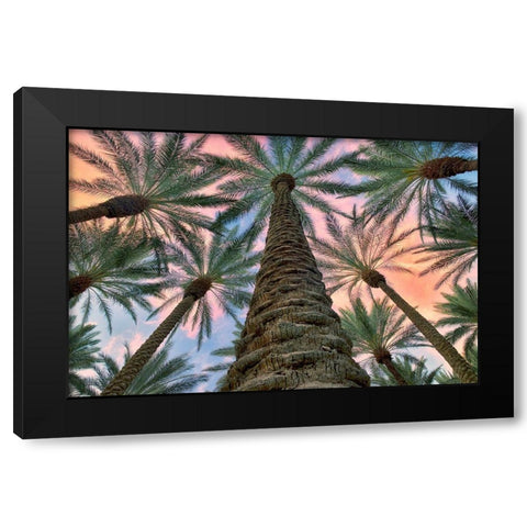 Worms Eye Black Modern Wood Framed Art Print with Double Matting by Frates, Dennis