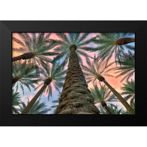 Worms Eye Black Modern Wood Framed Art Print by Frates, Dennis