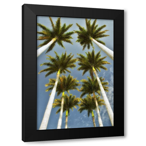 Worms Eye II Black Modern Wood Framed Art Print by Frates, Dennis