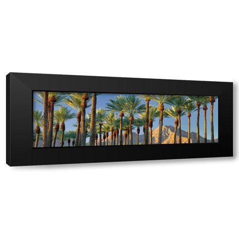 Trees Black Modern Wood Framed Art Print by Frates, Dennis