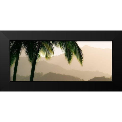 Misty Palms IV Black Modern Wood Framed Art Print by Frates, Dennis