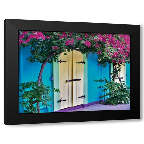 Double Doors Black Modern Wood Framed Art Print with Double Matting by Frates, Dennis