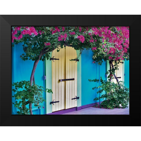 Double Doors Black Modern Wood Framed Art Print by Frates, Dennis