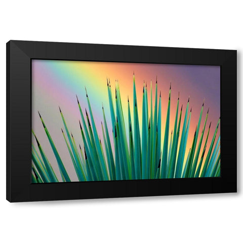 Prism Plant Black Modern Wood Framed Art Print by Frates, Dennis