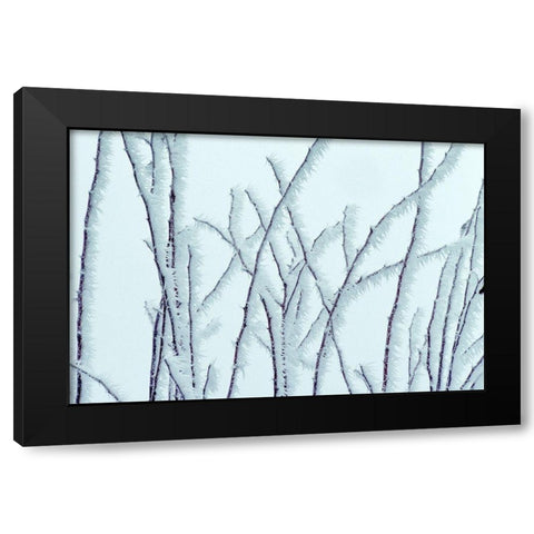 Icy Black Modern Wood Framed Art Print by Frates, Dennis