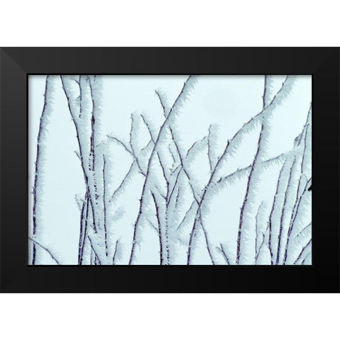 Icy Black Modern Wood Framed Art Print by Frates, Dennis