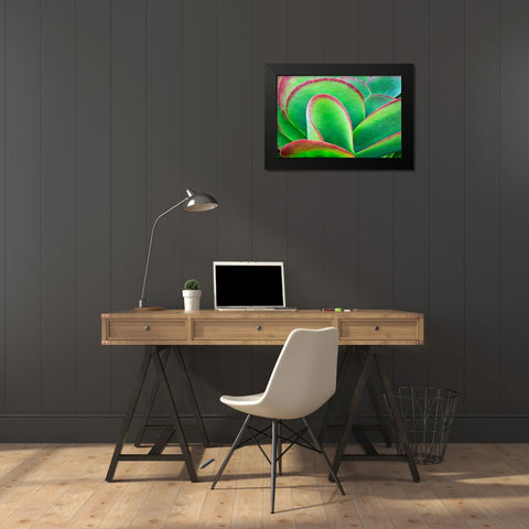 Succulent V Black Modern Wood Framed Art Print by Frates, Dennis
