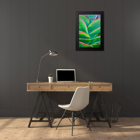 Succulent VIII Black Modern Wood Framed Art Print by Frates, Dennis