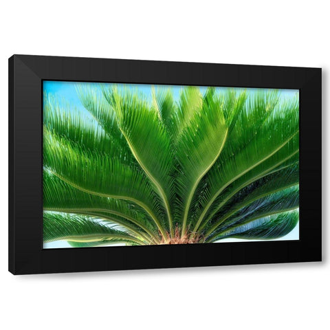 Tropical III Black Modern Wood Framed Art Print by Frates, Dennis