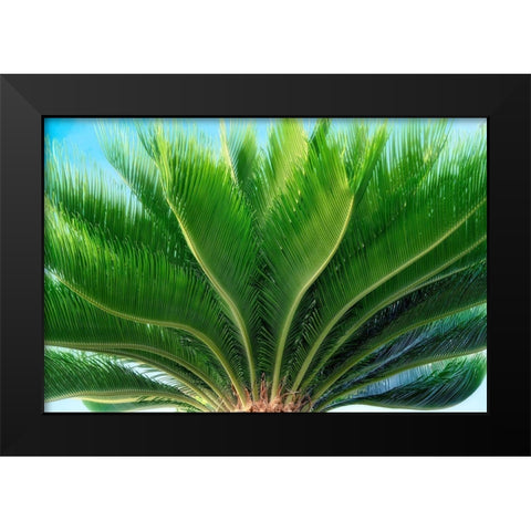 Tropical III Black Modern Wood Framed Art Print by Frates, Dennis