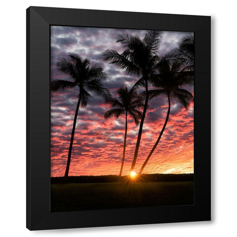Sunset Silhouette Black Modern Wood Framed Art Print with Double Matting by Frates, Dennis