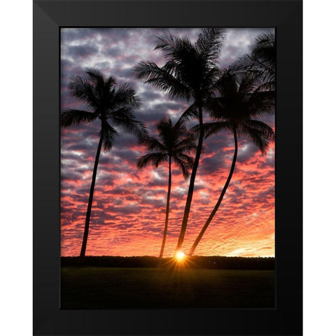 Sunset Silhouette Black Modern Wood Framed Art Print by Frates, Dennis