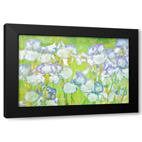 Lime Floral Black Modern Wood Framed Art Print with Double Matting by Frates, Dennis