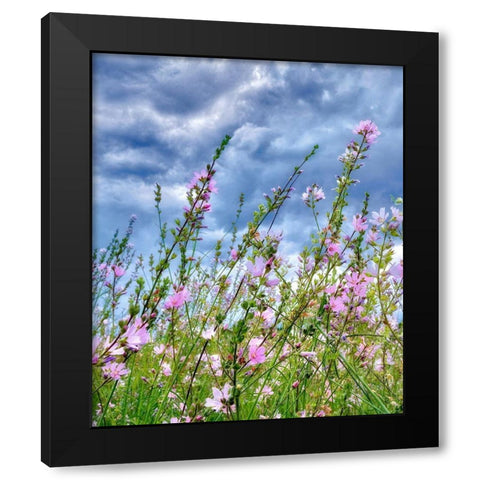 Wild Flowers Black Modern Wood Framed Art Print with Double Matting by Frates, Dennis