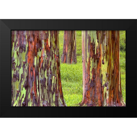 Trunk Club Black Modern Wood Framed Art Print by Frates, Dennis