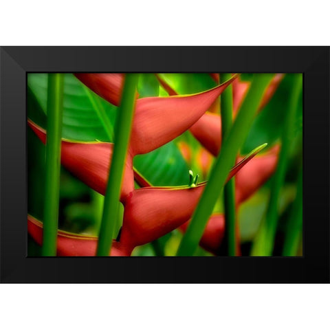 Floral Details Black Modern Wood Framed Art Print by Frates, Dennis