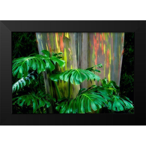 Tropical Leaves Black Modern Wood Framed Art Print by Frates, Dennis