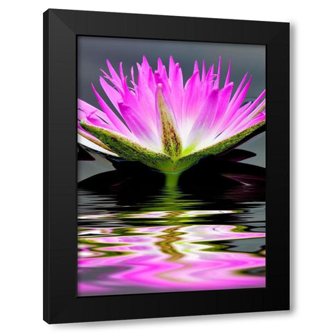 Purple Reflection Black Modern Wood Framed Art Print with Double Matting by Frates, Dennis