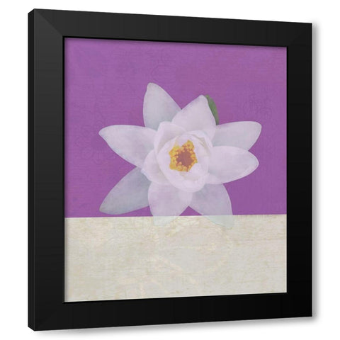 Water Lily Black Modern Wood Framed Art Print by JMB Designs